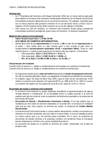 TEMA 5.pdf
