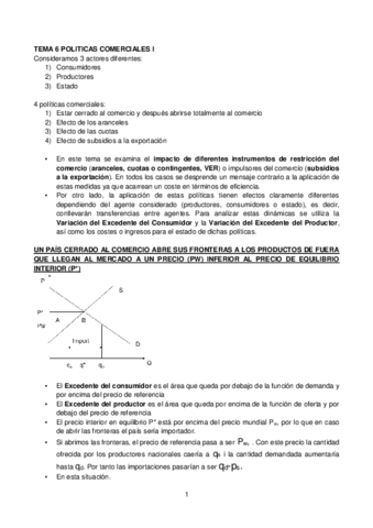 TEMA 6.pdf