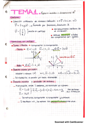 TEMA 1 espacio euclideo.pdf