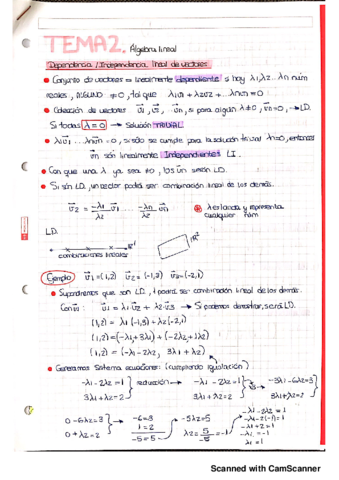 TEMA 2 algebra lineal.pdf