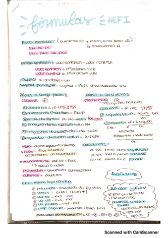 AEFI FORMULARIO COMPLETO_20190123195552.pdf
