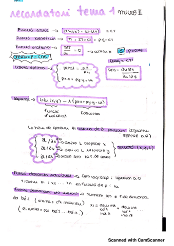 RESUM TEMA 1_20190401163718.pdf
