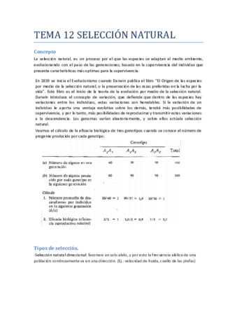 Tema 12 Genética.pdf