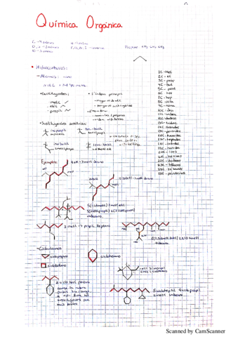 quimica organica.pdf