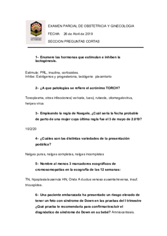 Plantilla_cortas_1_parcial.pdf