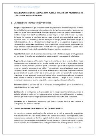 Tema 1.pdf