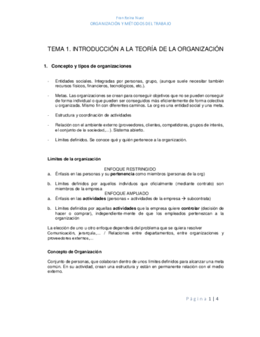 TEMA 1.pdf