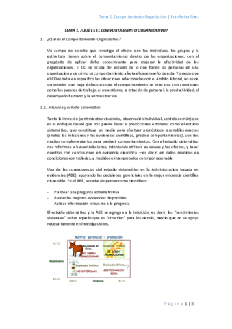 TEMA 1.pdf