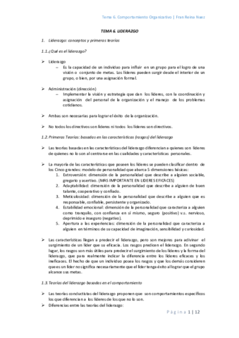 TEMA 6.pdf