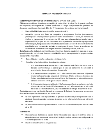 Tema 5.pdf