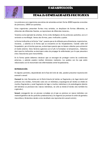 Tema 2 GENERALIDADES DE LOS PROTOZOOS.pdf
