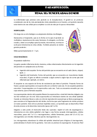 Tema 10 TOXOPLASMA GONDII.pdf
