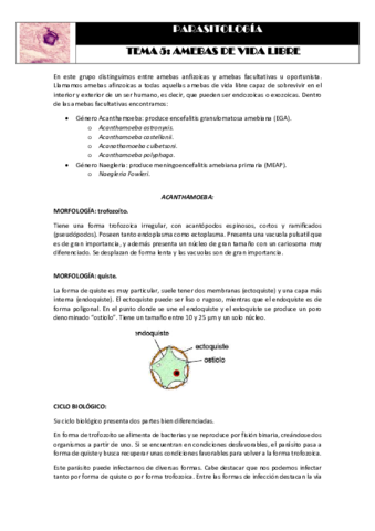Tema 5 AMEBAS DE VIDA LIBRE.pdf