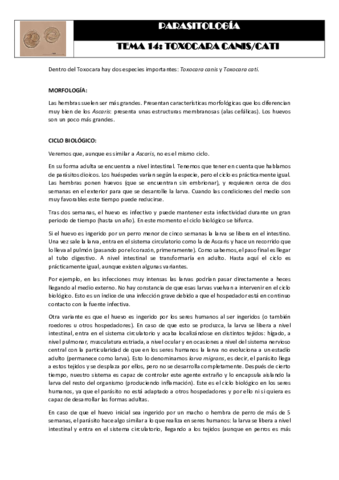 Tema 14 TOXOCARA CANIS-CATI.pdf