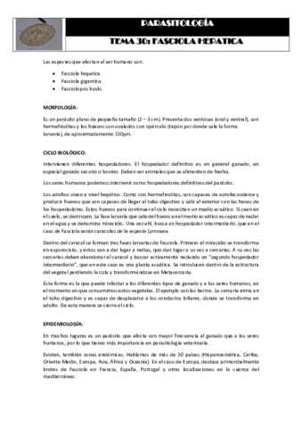 Tema 30 FASCIOLA HEPATICA.pdf