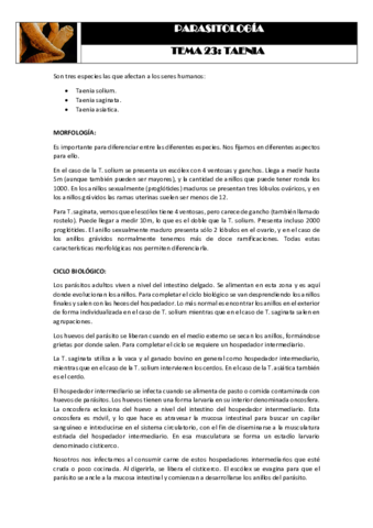 Tema 23 TAENIA.pdf
