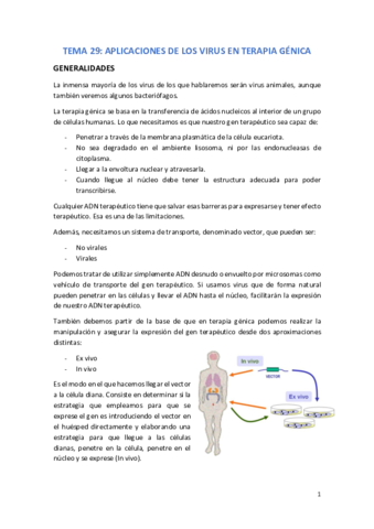 TEMA 29.pdf