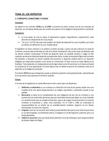TEMA 23 Depósito.pdf