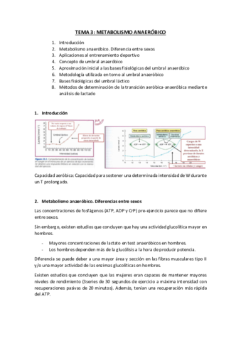 TEMA 3.pdf