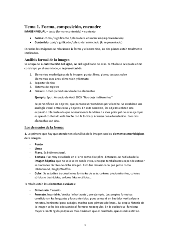 APUNTES ANÁLISIS COMPLETOS PUYAL.pdf