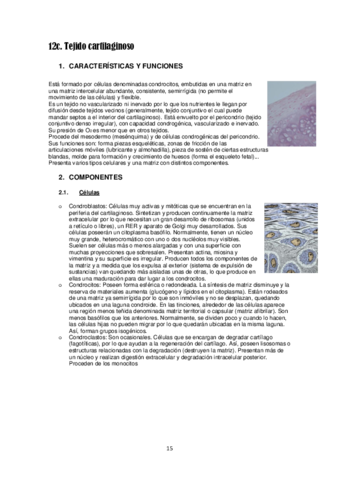 Tema 12c. Tejido cartilaginoso.pdf