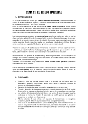 Tema 11. Tejido epitelial.pdf