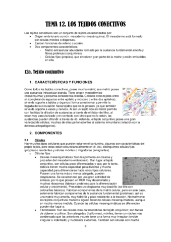 Tema 12a. Tejido conjuntivo.pdf