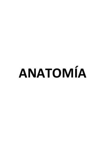 EXAMEN ANATOMÍA.pdf
