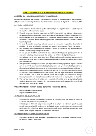 TEMA 1 CDHI.pdf