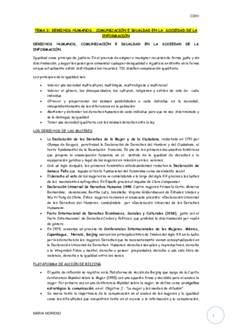 TEMA 3 CDHI.pdf