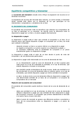 apuntes micro 6 Bienestar 2019.pdf