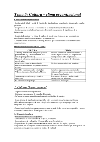 Tema 5 Cultura y Clima Organizacional.pdf