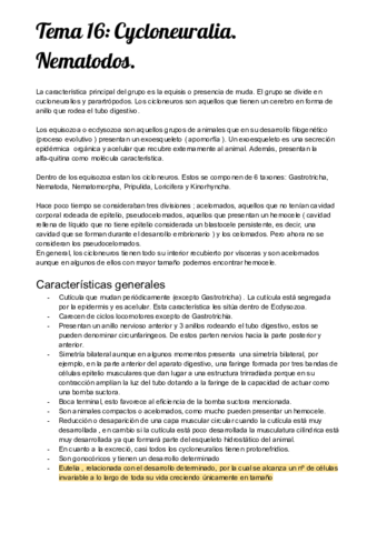Temario completo 2º Cuatri.pdf