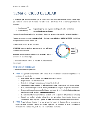 TEMA 6 ciclo celular.pdf