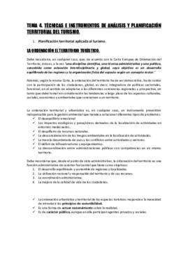 TERRITORIO -TEMA 4.pdf