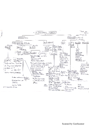 Aleaciones Férreas y No Férreas.pdf