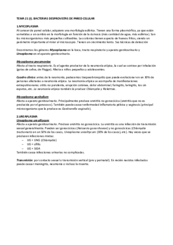 Tema 21 (I)..pdf