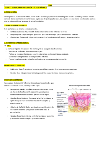 TEMA 5.pdf