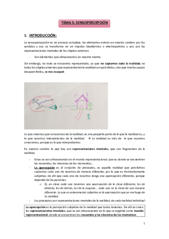 TEMA 5. SENSOPERCEPCIÓN.pdf