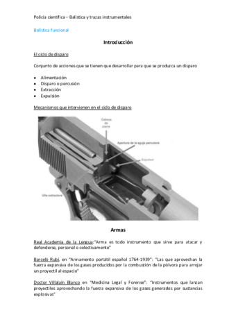 TEMA 5.2 BALÍSTICA FUNCIONAL.pdf