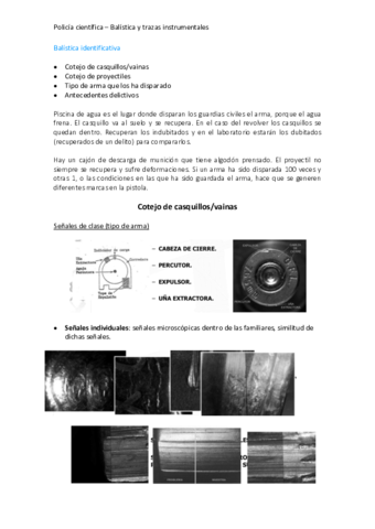 TEMA 5.1 BALÍSTICA IDENTIFICATIVA.pdf