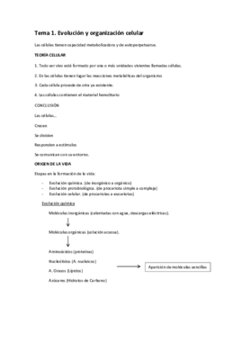 Apuntes Tema 1 evolución y organización celular.pdf