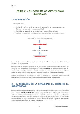 TEMA 6 apuntes.pdf