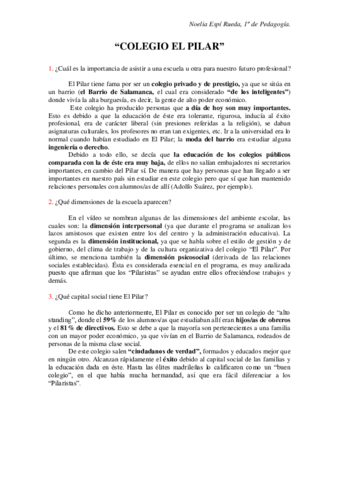 Colegio El Pilar (Organización).pdf