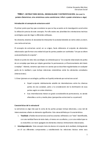 Tema 1 nuevo.pdf