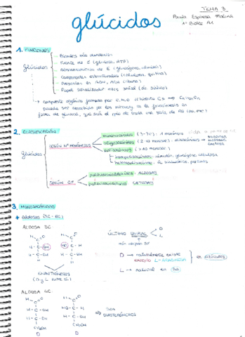 Tema Glúcidos teoría.pdf