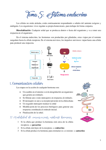 Tema 5. Sistema endocrino.pdf