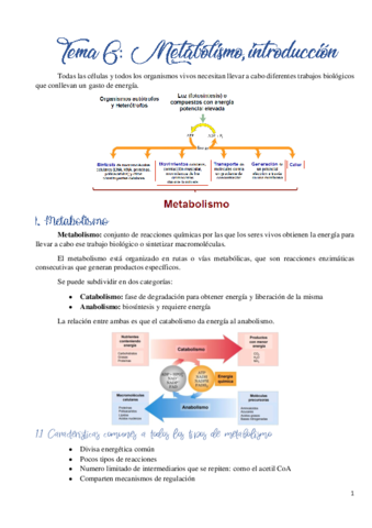Tema 6. Metabolismo- introduccion.pdf