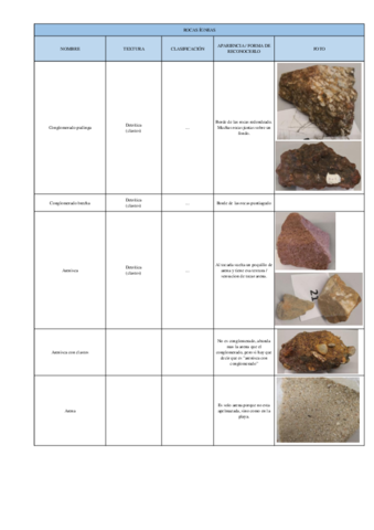 Visu Rocas sedimentarias.pdf