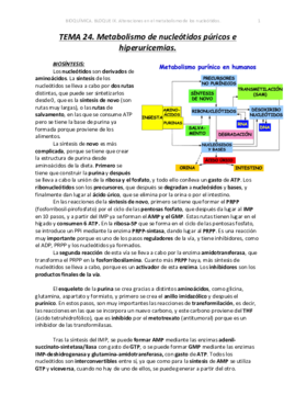 TEMA 24. BIOQUÍMICA CLÍNICA. .pdf